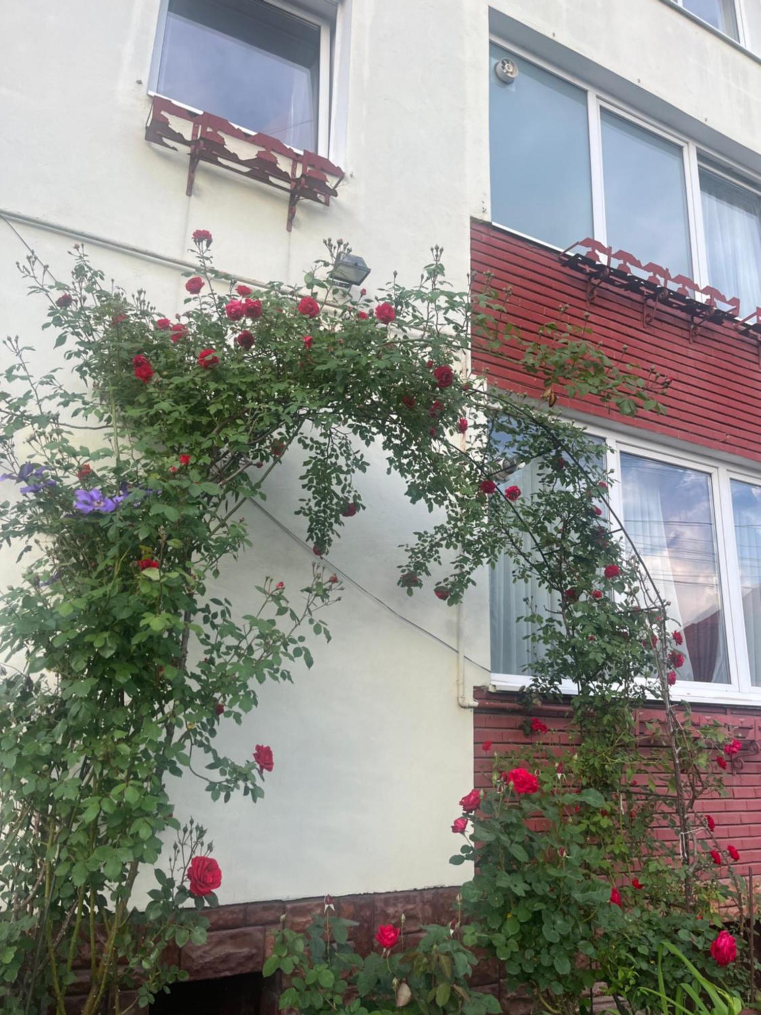 Hotel Casa Conti Sibiu Exterior foto